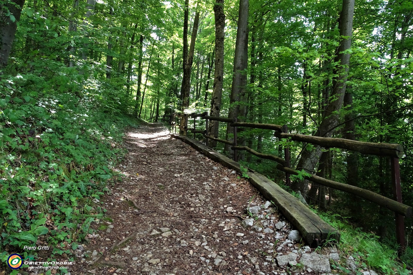 108 Sul percorso del 'Giro del Monte Castello' da Miragolo S. Salvatore a S. Marco.JPG